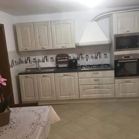 Casa De Vacanta Netotea Guest house