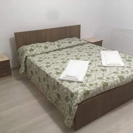 Casa De Vacanta Netotea *